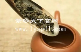 为什么用紫砂壶泡茶可以提香
