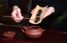 紫砂壶泡什么茶最好