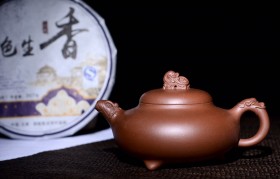 什么茶用什么泥料的紫砂壶来泡，才能更好喝？