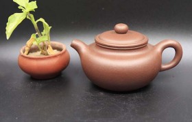 ​紫砂壶只能泡乌龙茶和普洱茶吗？