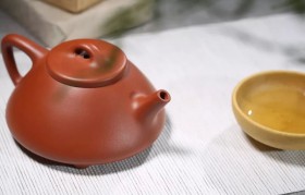 紫砂壶能冲泡白茶吗？