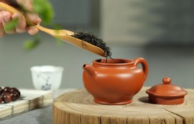 用紫砂壶泡茶如何掌握投茶量？