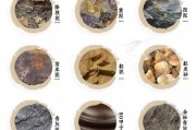 常见的纯紫泥主要有哪几种