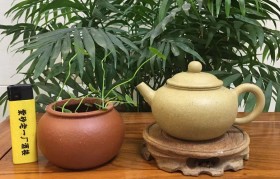 原矿紫砂壶水平芝麻段150cc做壶师傅:王霞（半手）