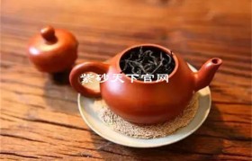 紫砂壶与茶叶如何搭配