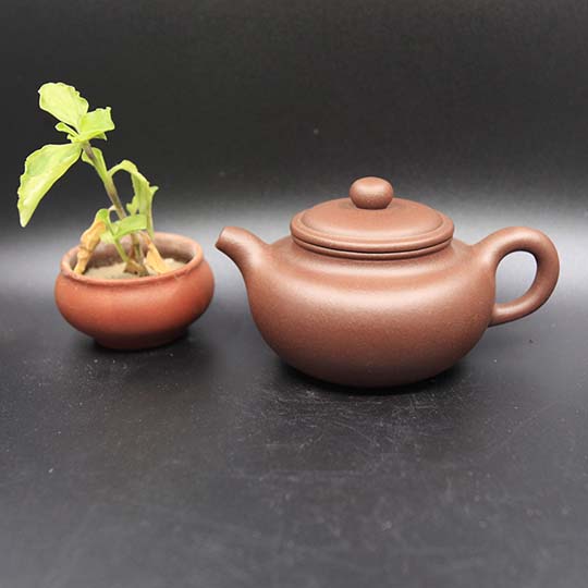 ​紫砂壶只能泡乌龙茶和普洱茶吗？  1