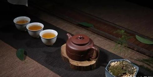 底槽清紫砂壶适合泡什么茶