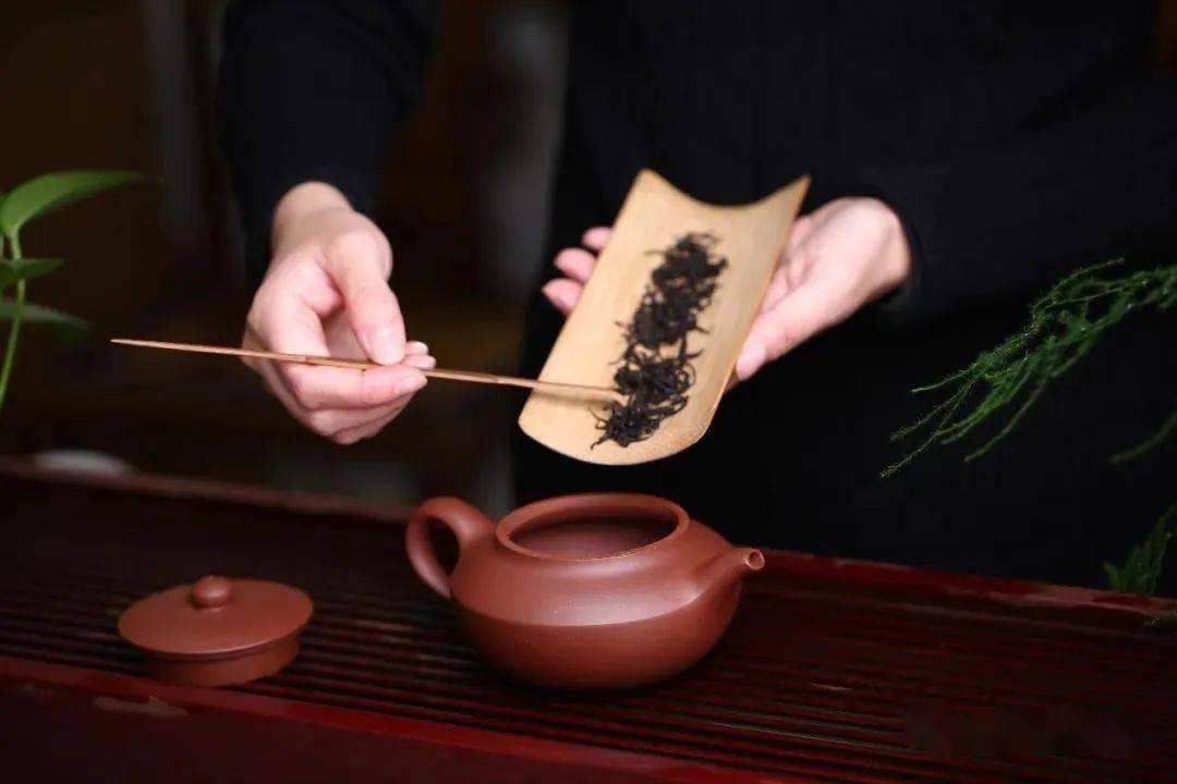 用紫砂壶泡茶可以养生吗？