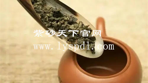 不同的茶叶怎么搭配合适的紫砂壶  7