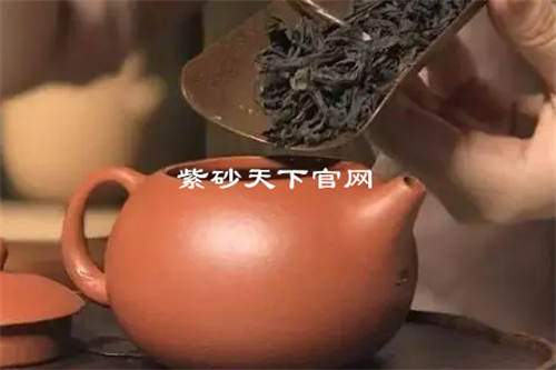 紫砂壶与茶叶如何搭配  4