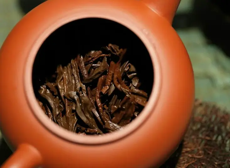 紫砂壶养壶用什么茶叶好？3种不同茶叶养壶的效果分析  2